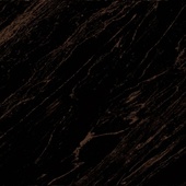 Larda Black POL