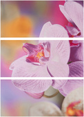 Decor Optical - 3 броя плочки