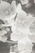 Decor Set Coll Grey к-т 3 броя плочки