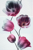 Set Decor Vanity 3бр.