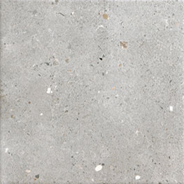 Colombina Grey