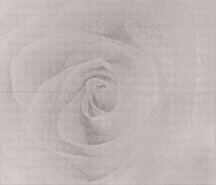 Decor Maribel Gris