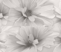 Decor Marita Gris