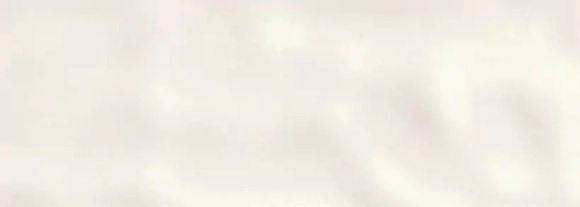 Coton Blanco