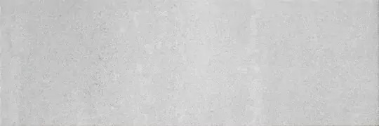 Fenix Gris