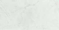 Labrador Blanco