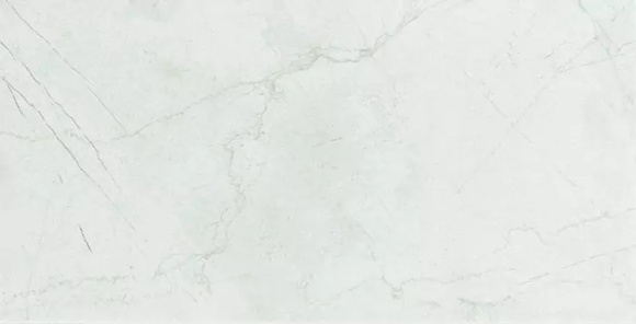 Labrador Blanco