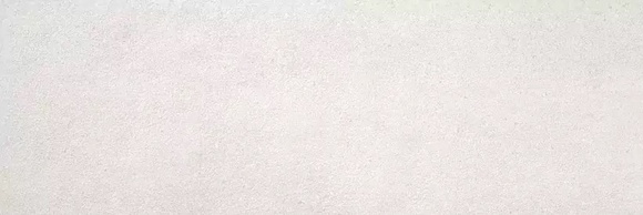 Concert White
