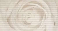 Rosa Crema