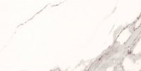 Nella White 22.3x44.8см
