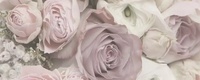 Glamour Flower A