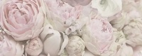 Glamour Flower B