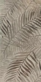 Wallpapers Bronze Fern
