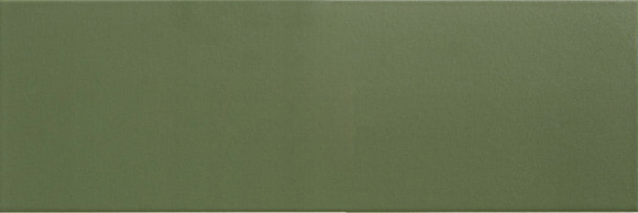 Jungle Olive