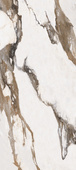 Calacatta Gold Poll