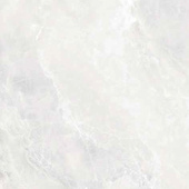 Bunkyo Ivory Gloss 79.8x79.8см