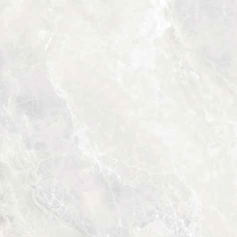 Bunkyo Ivory Gloss 79.8x79.8см