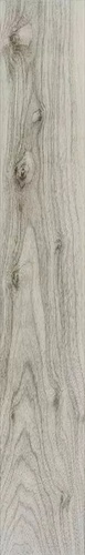 Bayard Gris