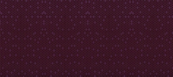 Era Plum
