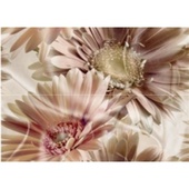 Decor Set Athenas - 2 броя плочки